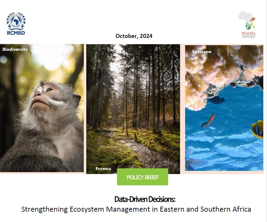 Policy Brief | Strengthening Ecosystem Management in Eastern and Southern Africa